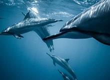 17173热门游戏榜：《最终幻想14》联动怪猎活动上线 《魔兽世界》全新怀旧版本